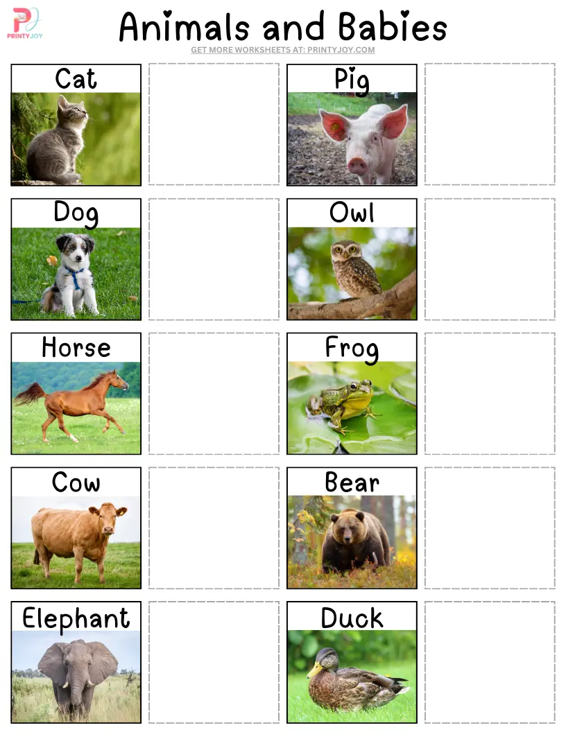 Animals and Babies Matching Activity Free Printable