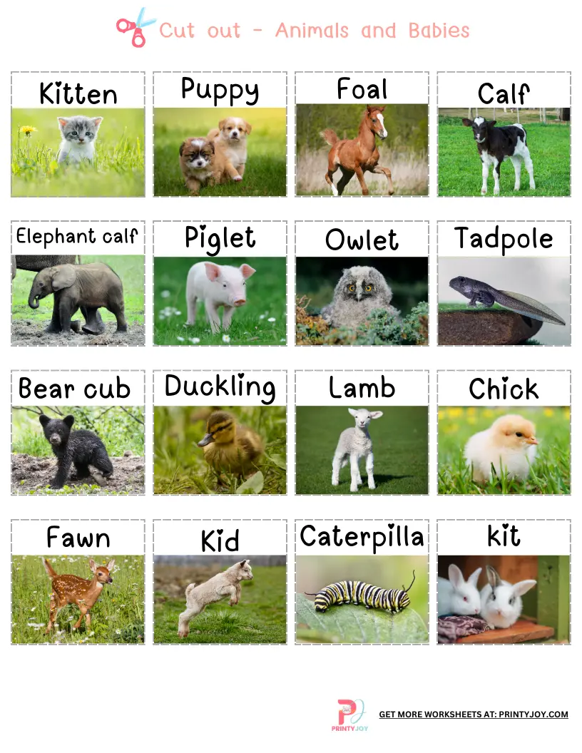 Animals and Babies Matching Activity Free Printable