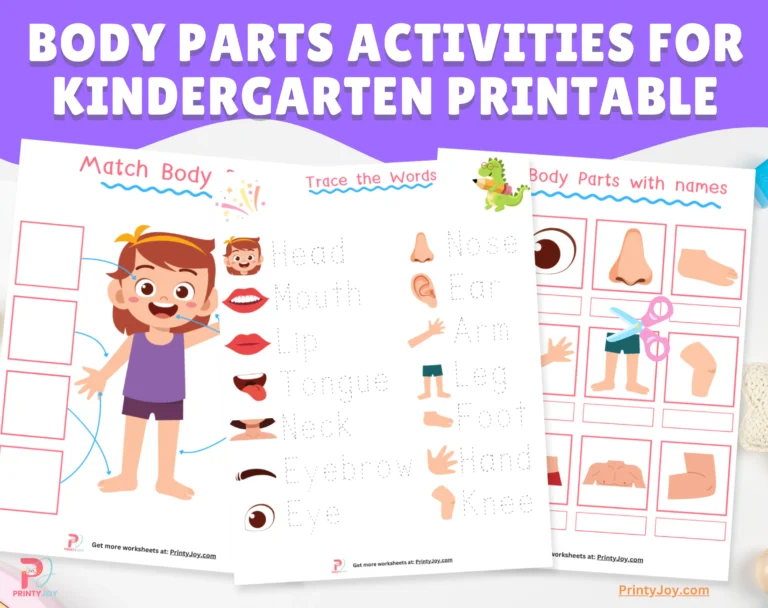Body Parts Activities for Kindergarten Printable