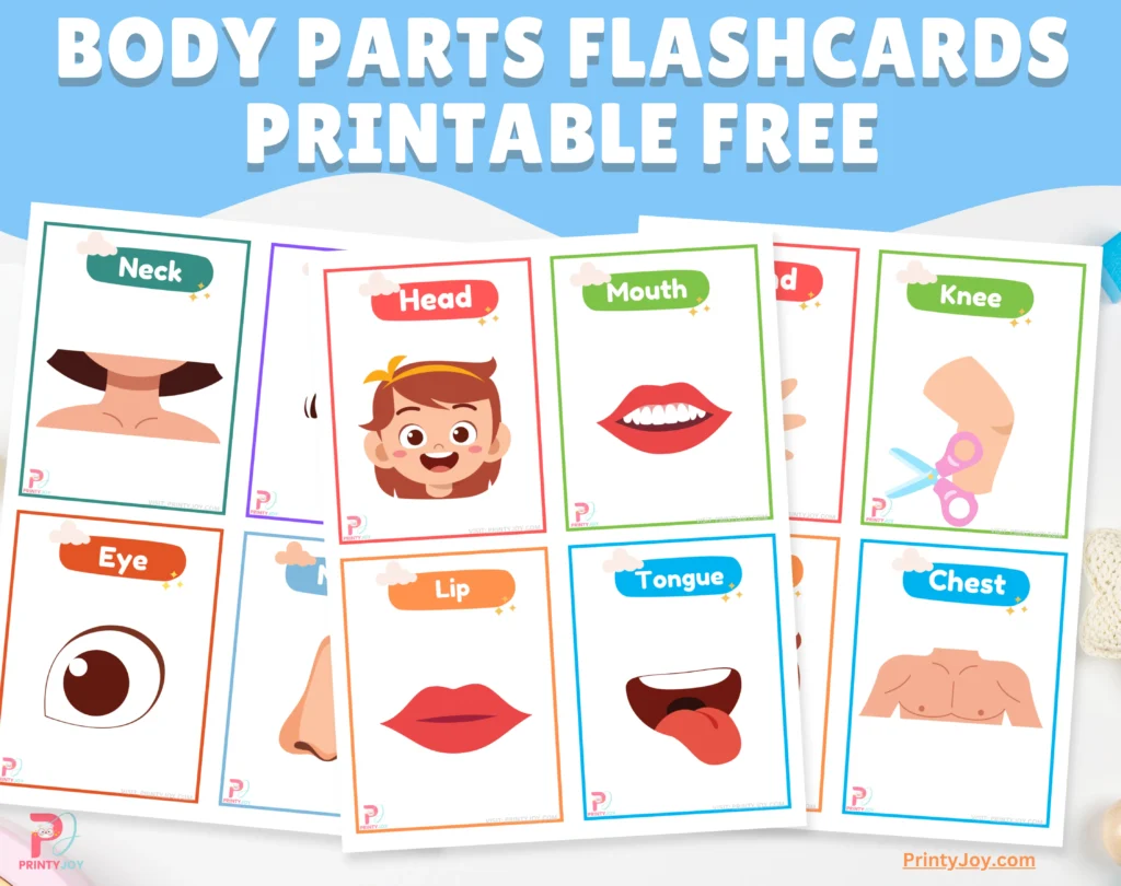 Body Parts Flashcards Printable Free