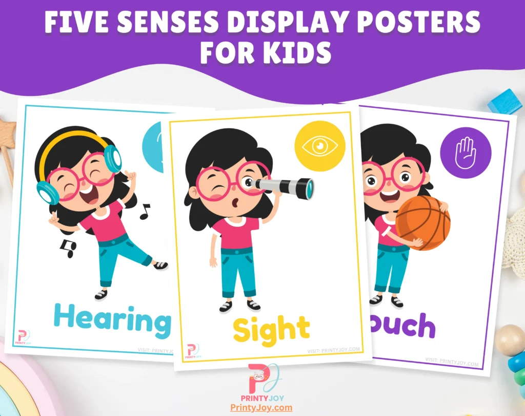 Five Senses Display Posters For Kids