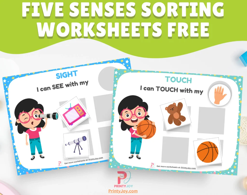 Five Senses Sorting Worksheets Free