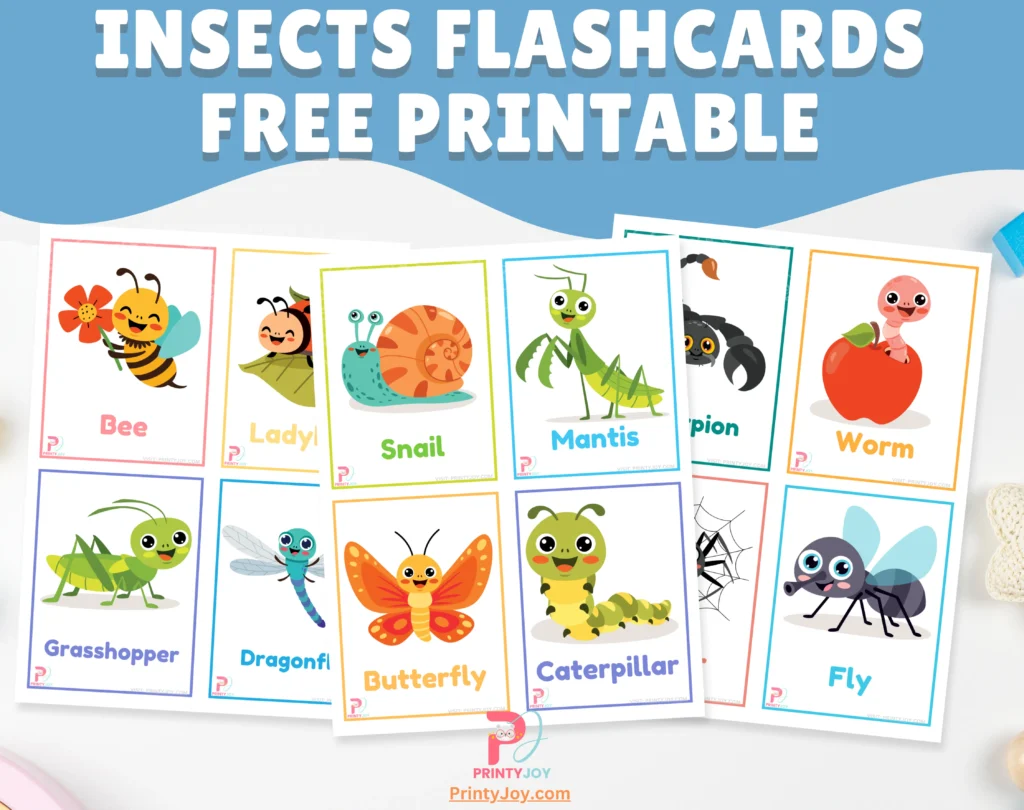 Insects Flashcards Free Printable