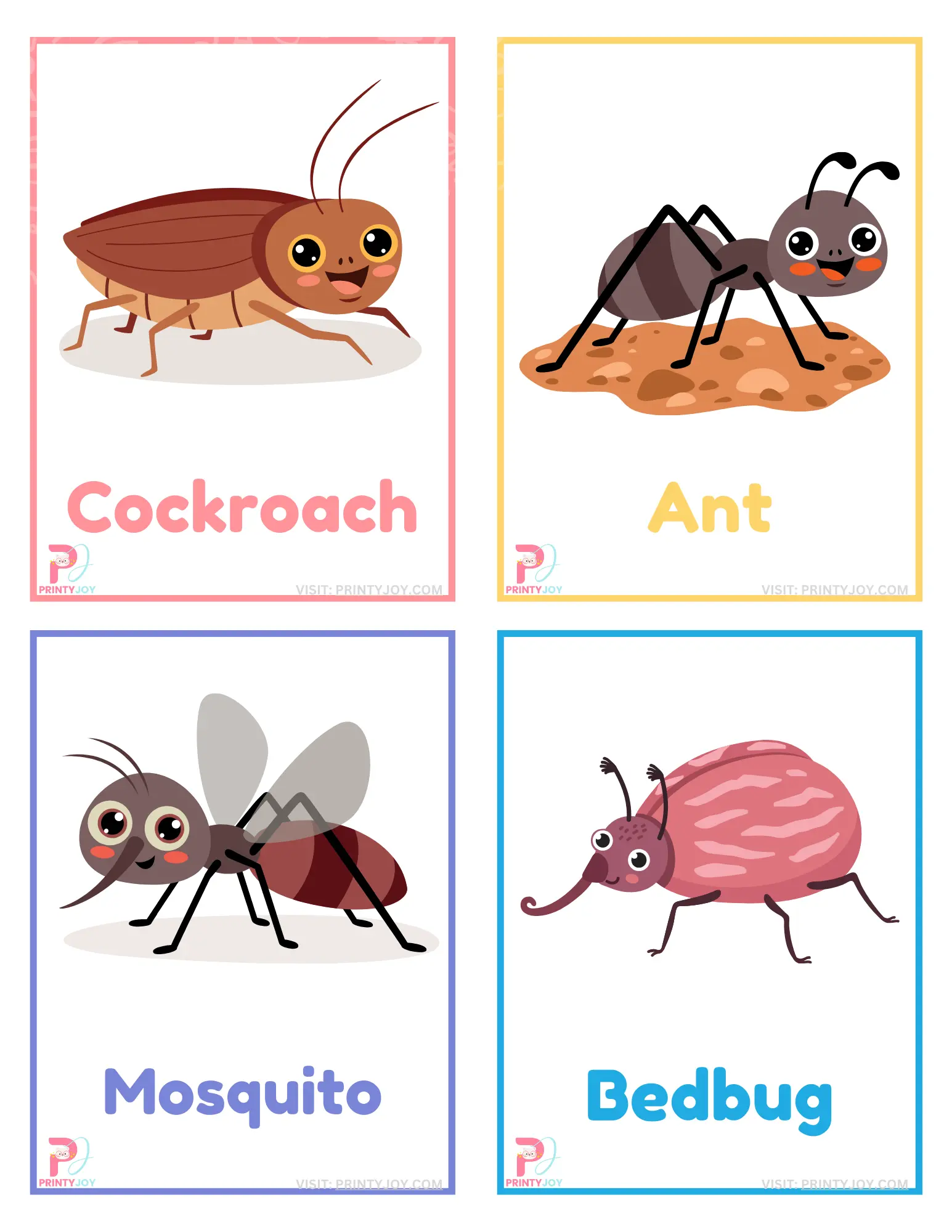 Insects Flashcards PDF Printable