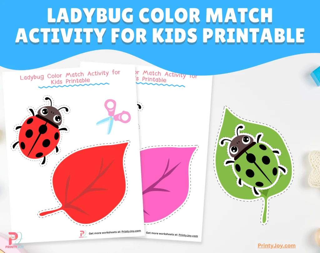 Ladybug Color Match Activity for Kids Printable