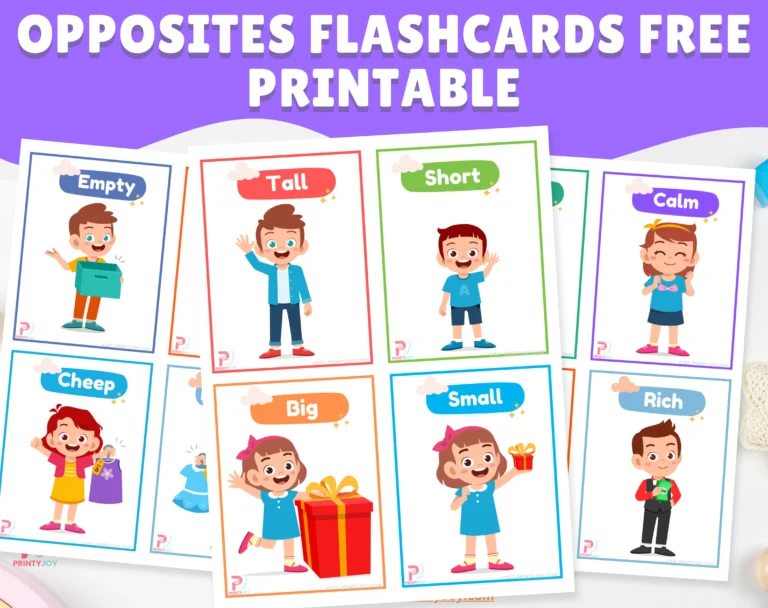 Opposites Flashcards Free Printable